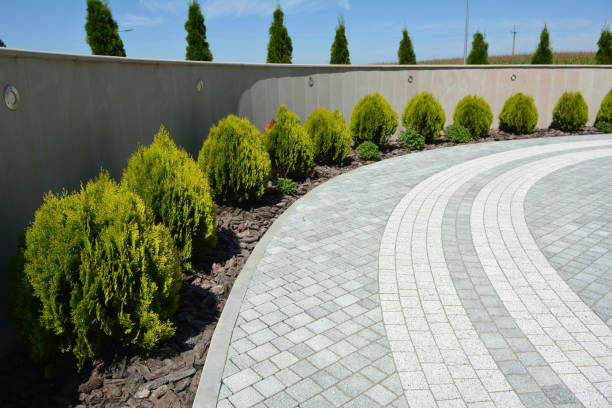 Best Local Driveway Pavers  in Clermont, GA