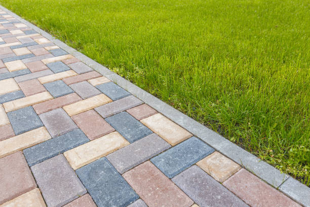 Best Residential Paver Driveway  in Clermont, GA